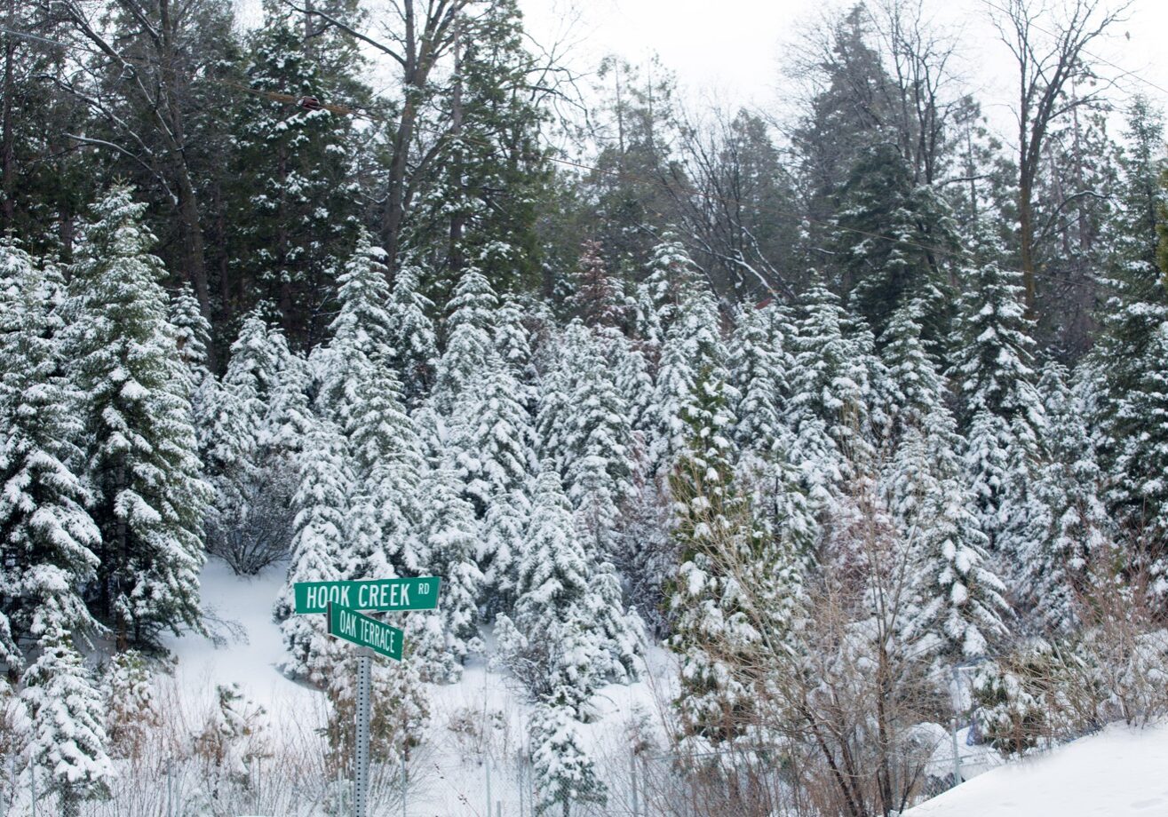 Cedar Glen Snowy Cedars